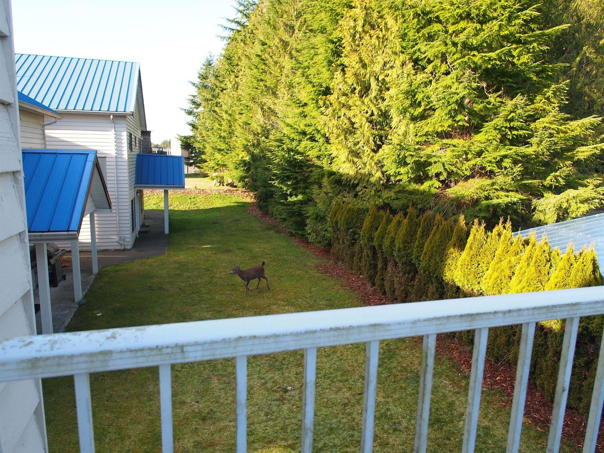 Whale'S Tail Guest Suites Ucluelet Eksteriør bilde